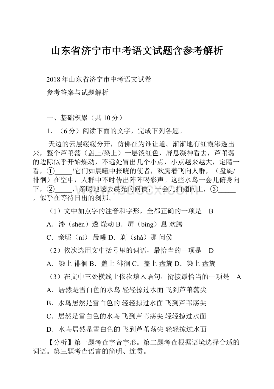 山东省济宁市中考语文试题含参考解析.docx