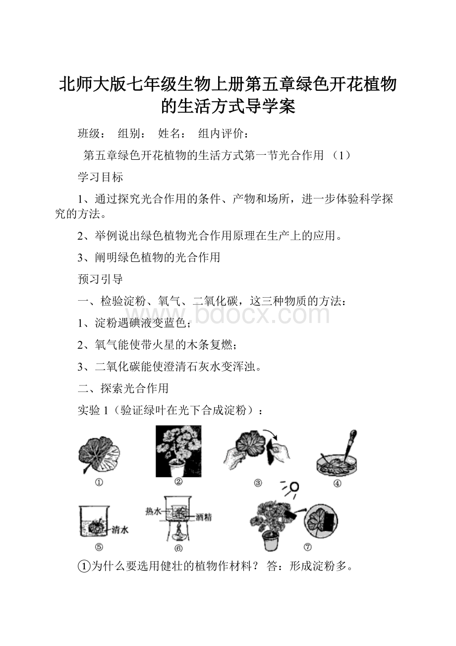 北师大版七年级生物上册第五章绿色开花植物的生活方式导学案.docx_第1页