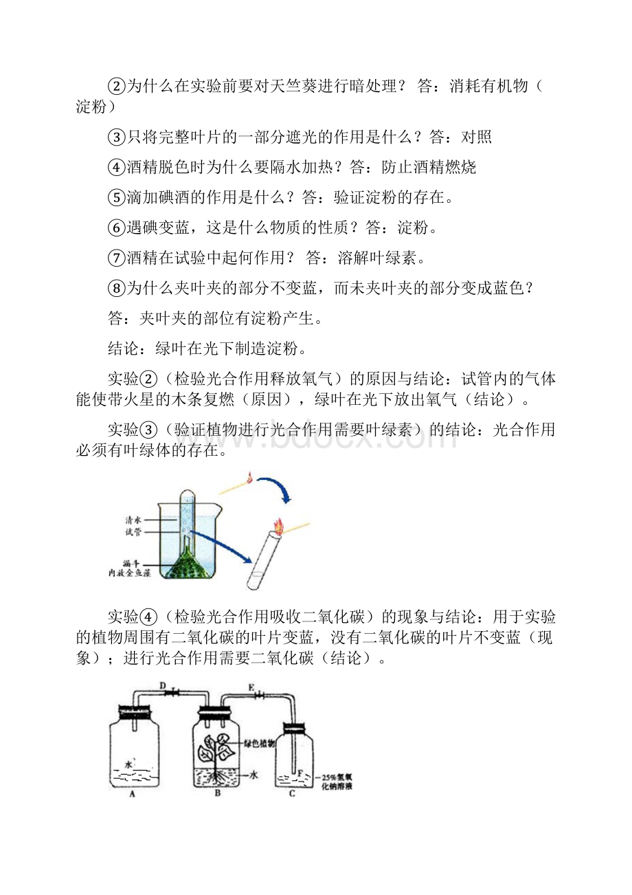 北师大版七年级生物上册第五章绿色开花植物的生活方式导学案.docx_第2页