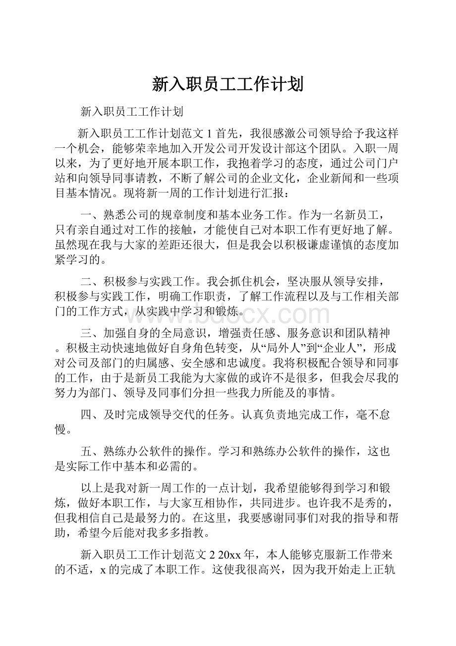 新入职员工工作计划.docx