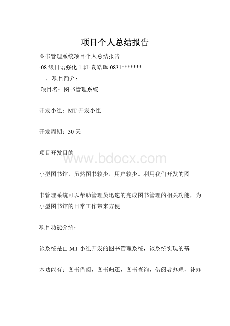 项目个人总结报告.docx_第1页