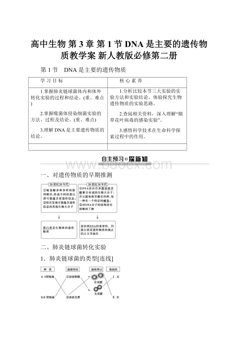 高中生物 第3章 第1节 DNA是主要的遗传物质教学案 新人教版必修第二册.docx