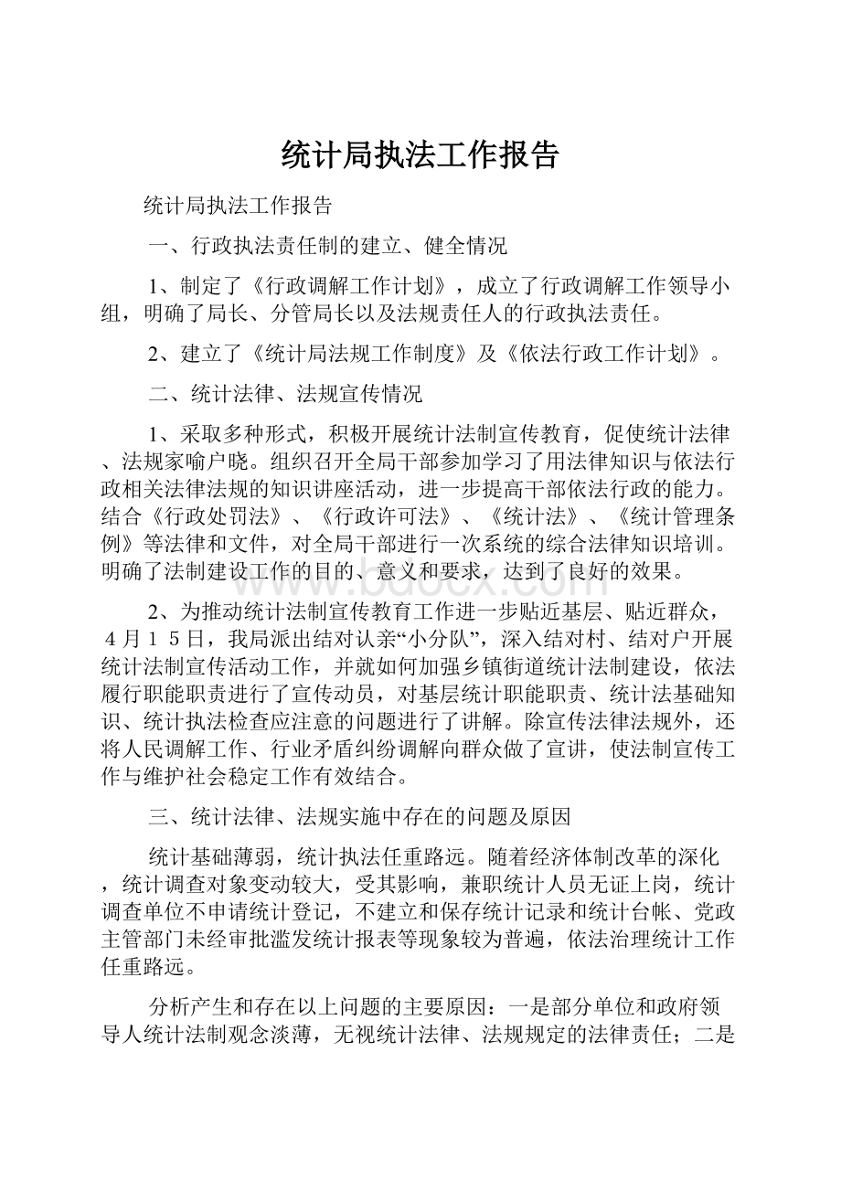 统计局执法工作报告.docx