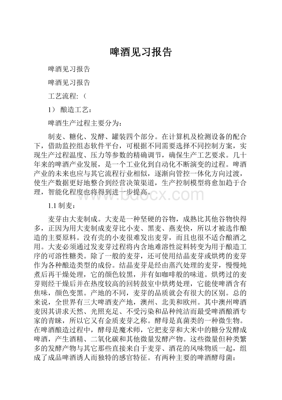 啤酒见习报告.docx