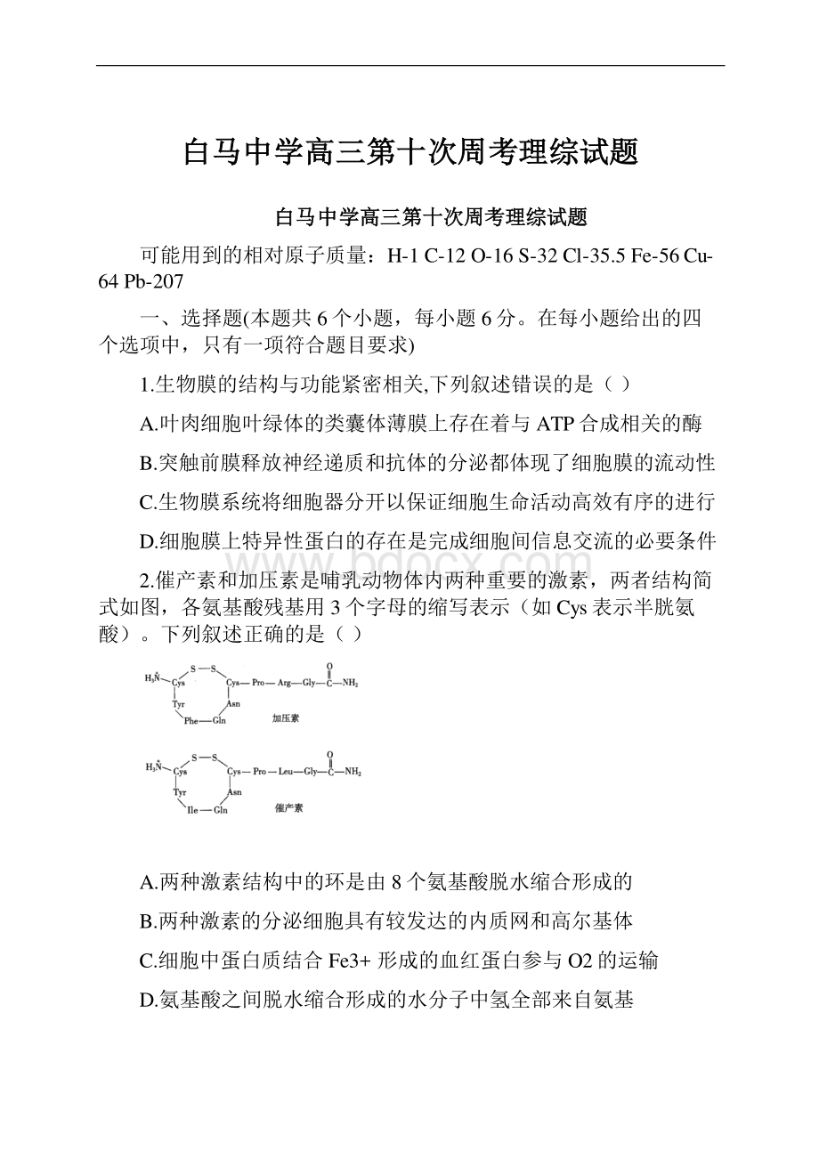 白马中学高三第十次周考理综试题.docx_第1页