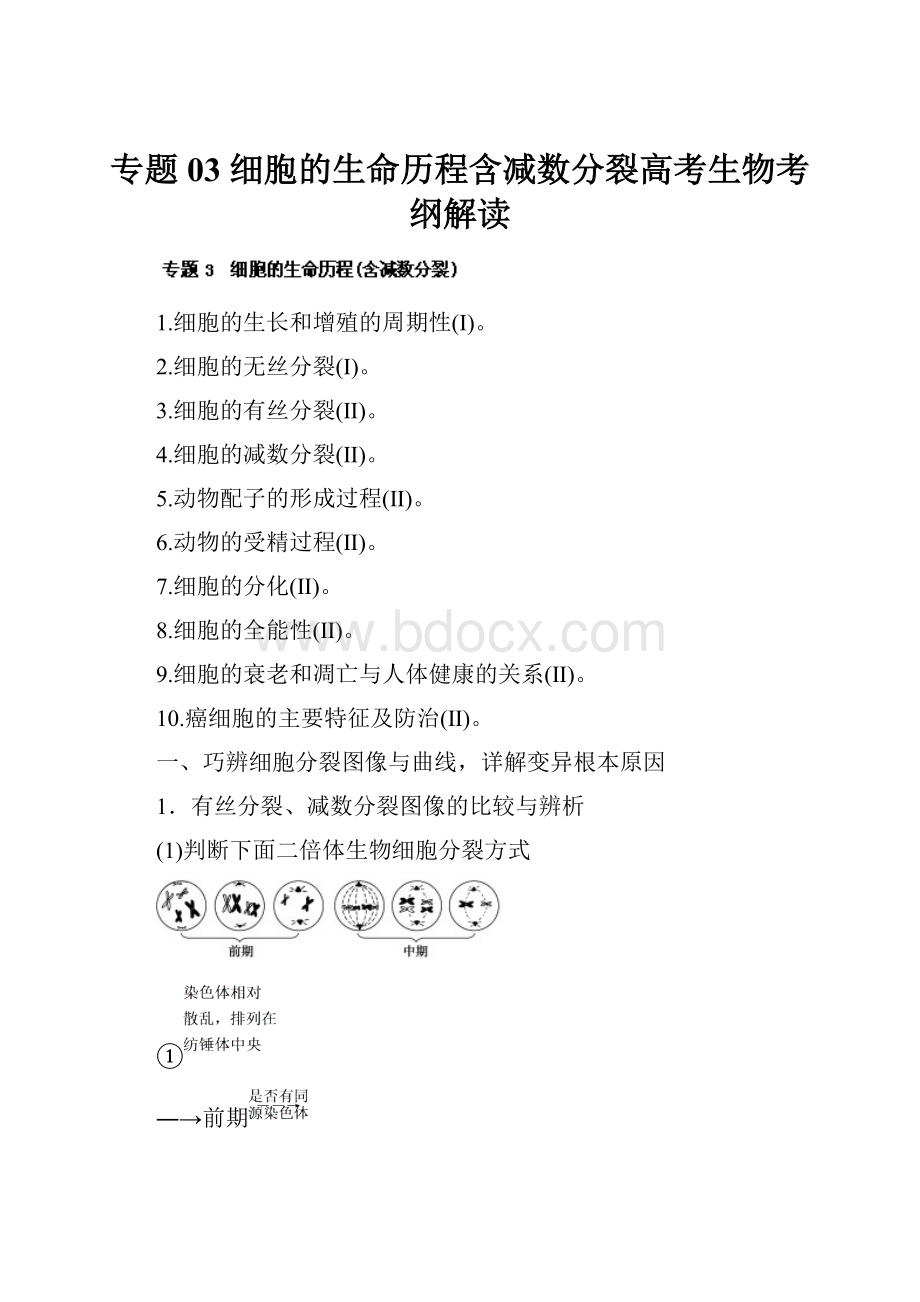 专题03 细胞的生命历程含减数分裂高考生物考纲解读.docx_第1页