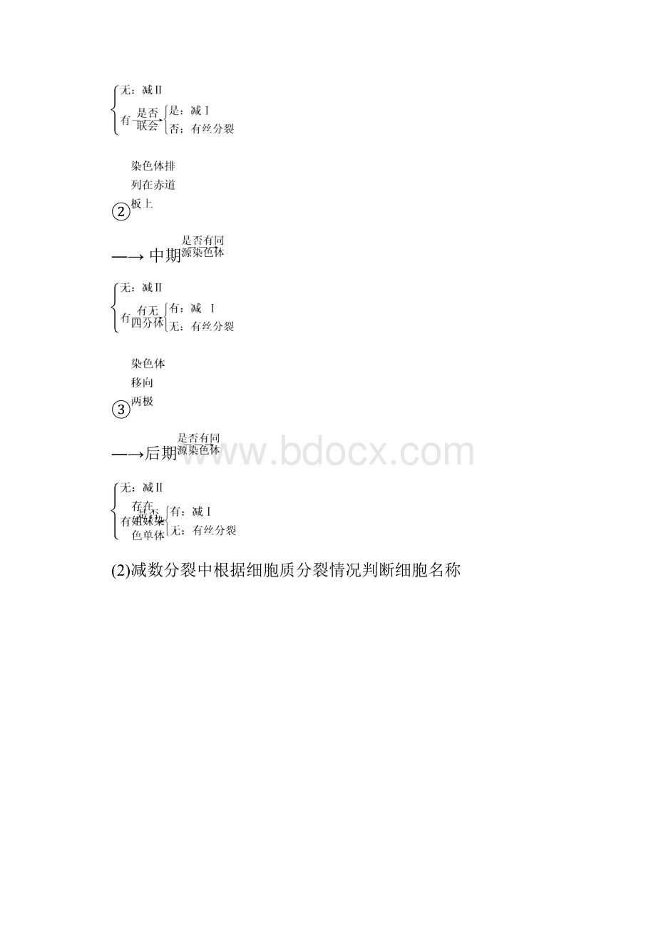 专题03 细胞的生命历程含减数分裂高考生物考纲解读.docx_第2页