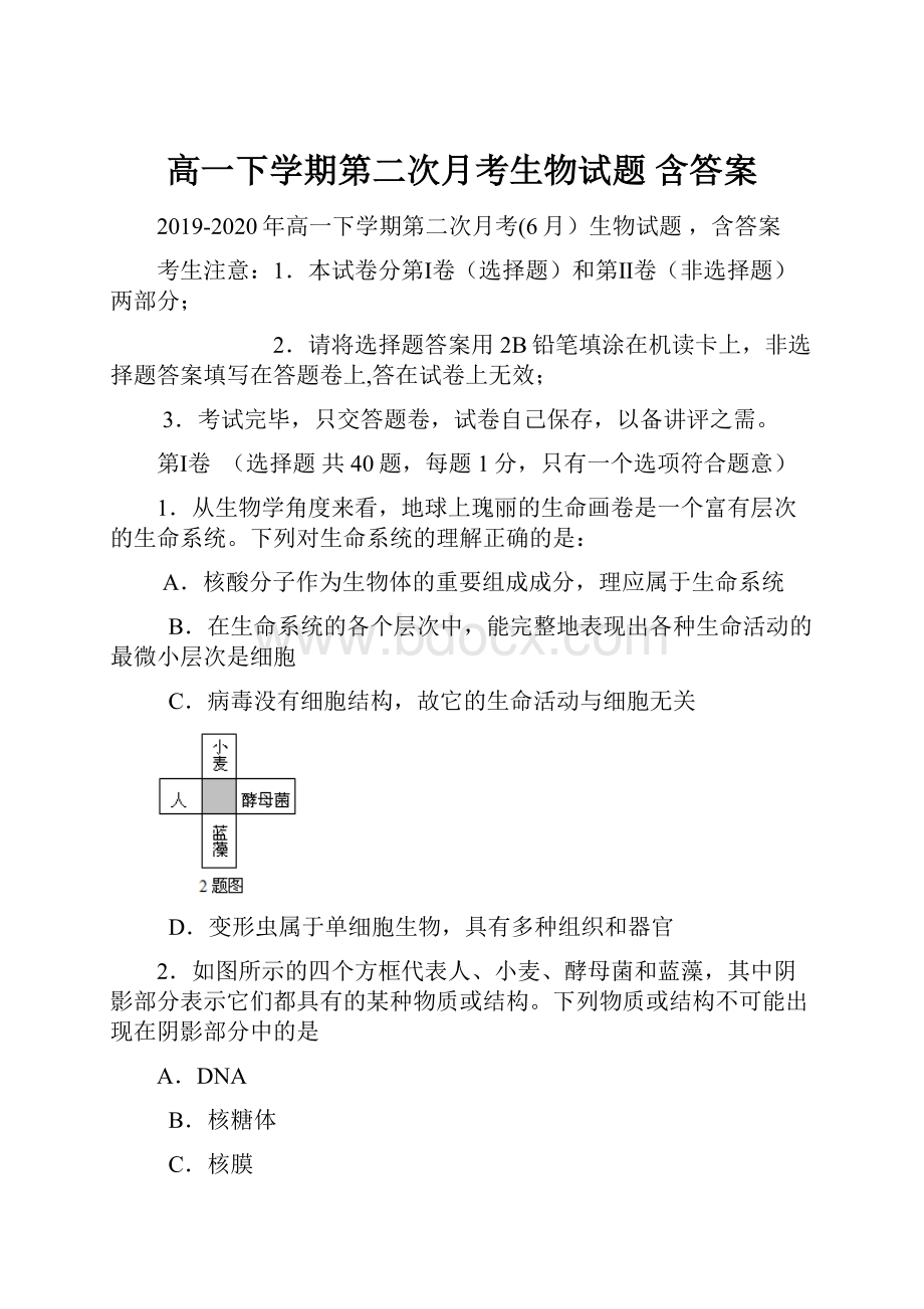 高一下学期第二次月考生物试题 含答案.docx