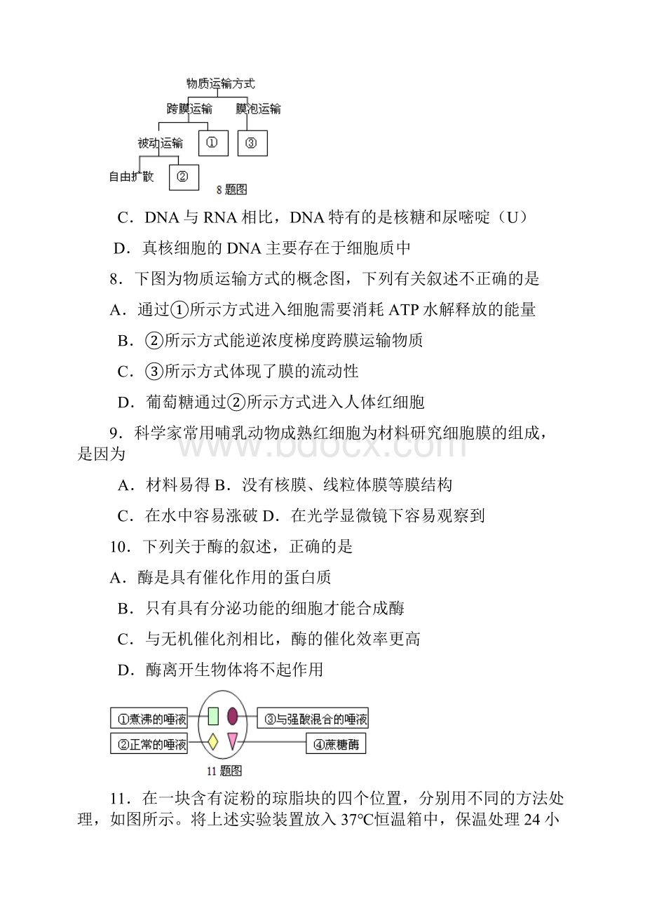 高一下学期第二次月考生物试题 含答案.docx_第3页