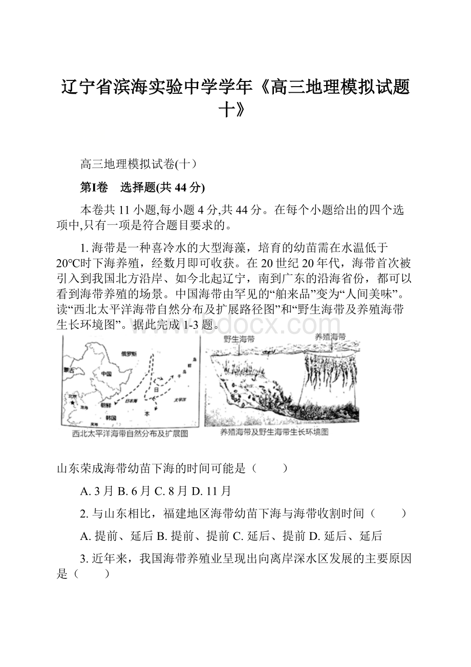 辽宁省滨海实验中学学年《高三地理模拟试题十》.docx