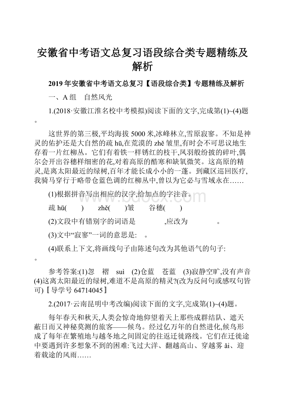 安徽省中考语文总复习语段综合类专题精练及解析.docx