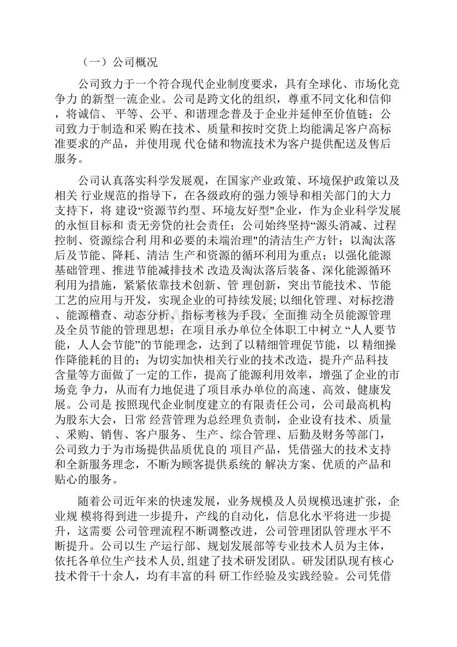 机制砂投资建设项目预算报告docx.docx_第2页