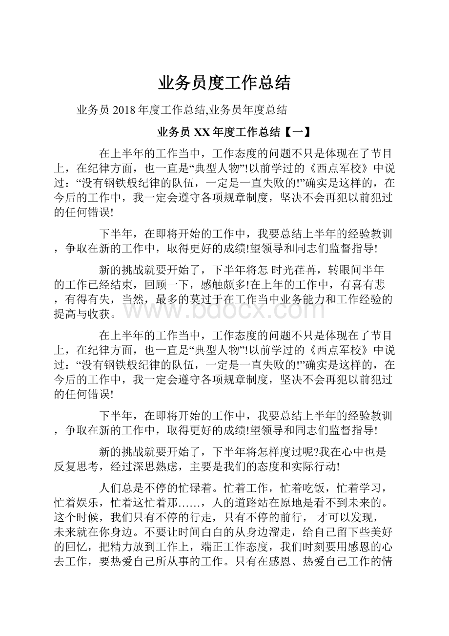 业务员度工作总结.docx_第1页