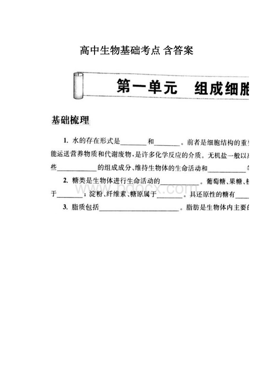 高中生物基础考点 含答案.docx