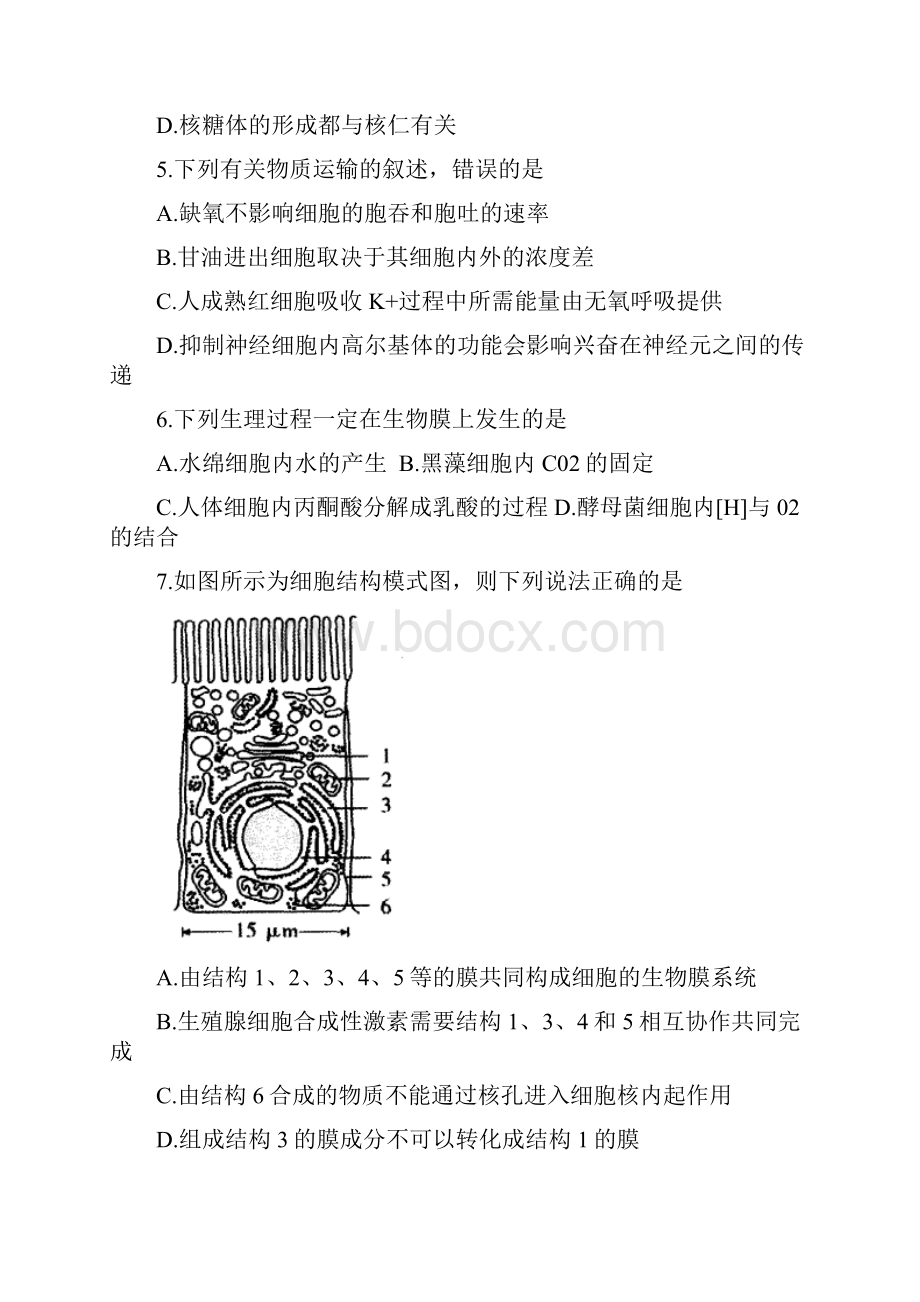 学年黑龙江省齐齐哈尔市高二下学期期末考试生物试题 Word版.docx_第2页