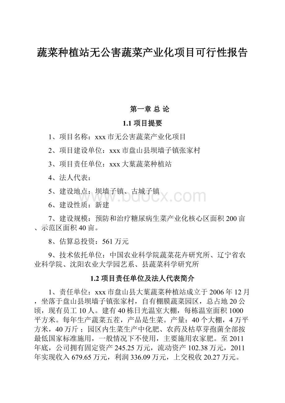 蔬菜种植站无公害蔬菜产业化项目可行性报告.docx