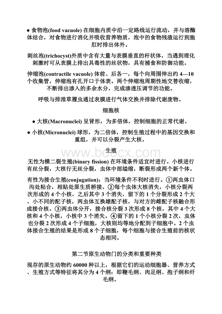 概述与原生动物门教案.docx_第2页