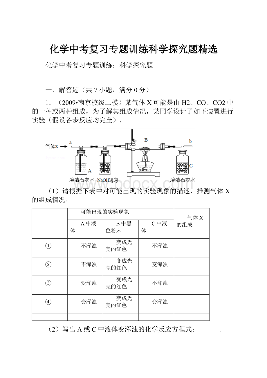 化学中考复习专题训练科学探究题精选.docx