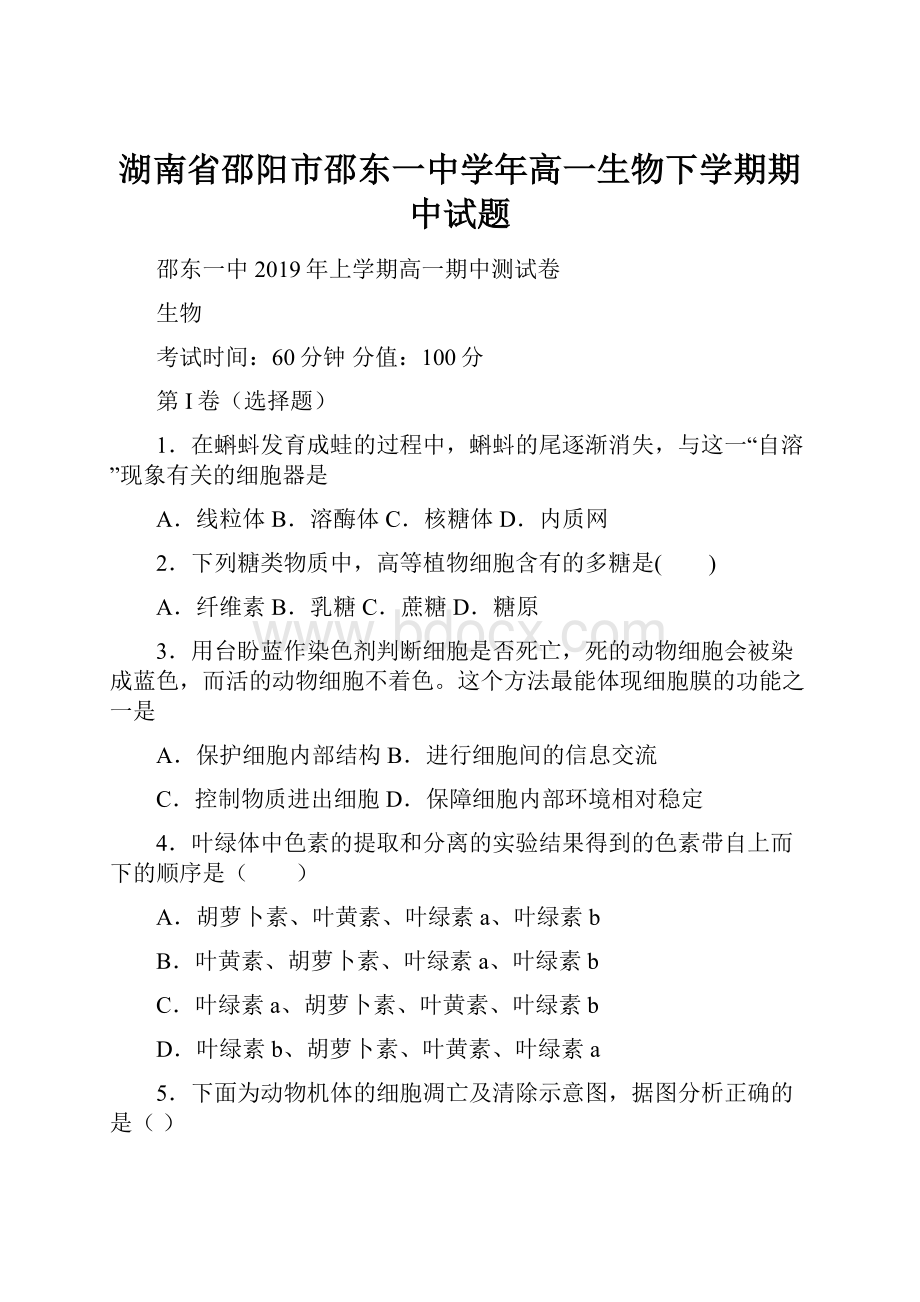 湖南省邵阳市邵东一中学年高一生物下学期期中试题.docx