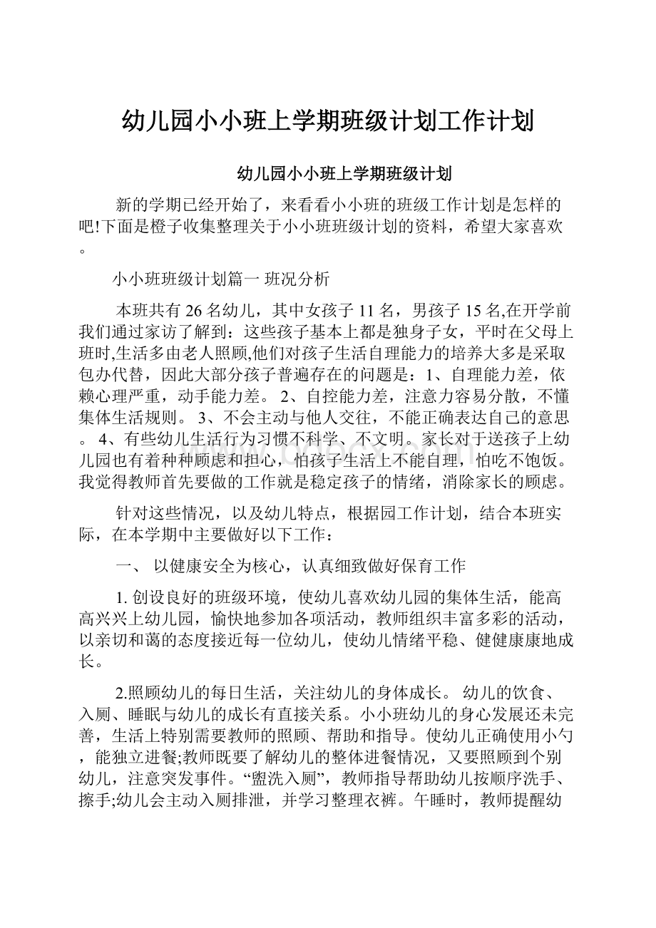 幼儿园小小班上学期班级计划工作计划.docx