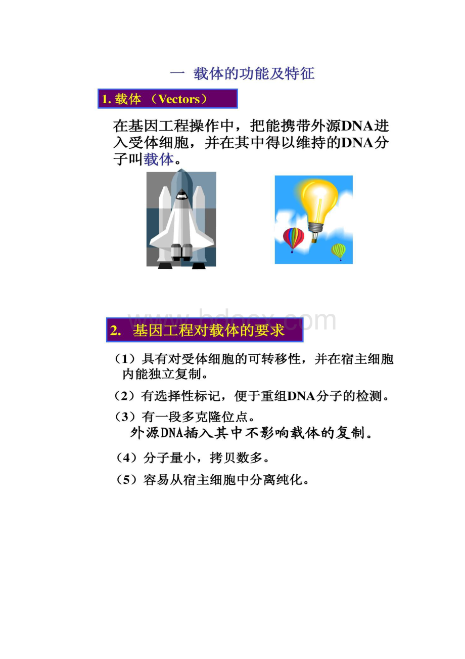 三基因工程的基本条件基因载体精.docx_第2页