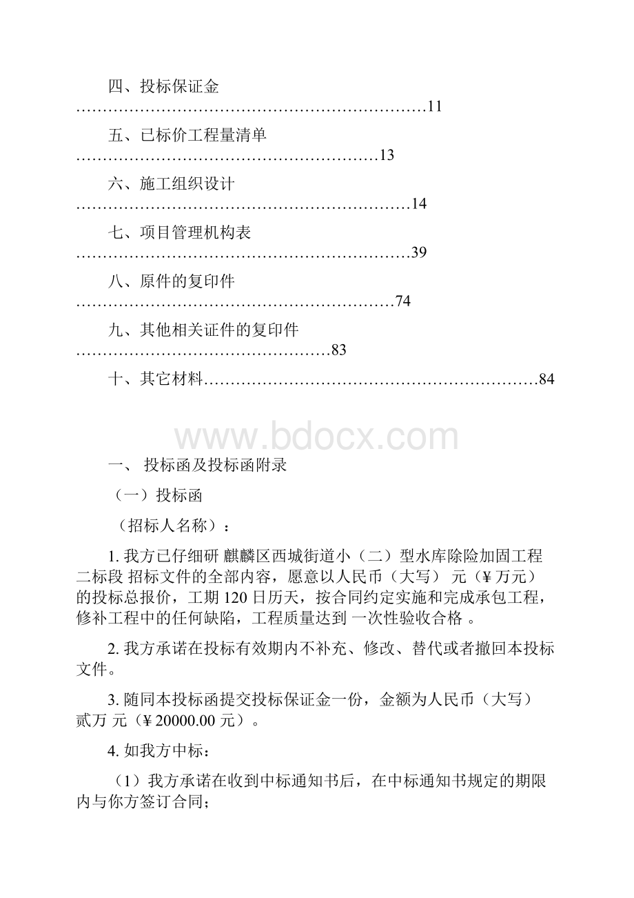 除险加固工程.docx_第3页