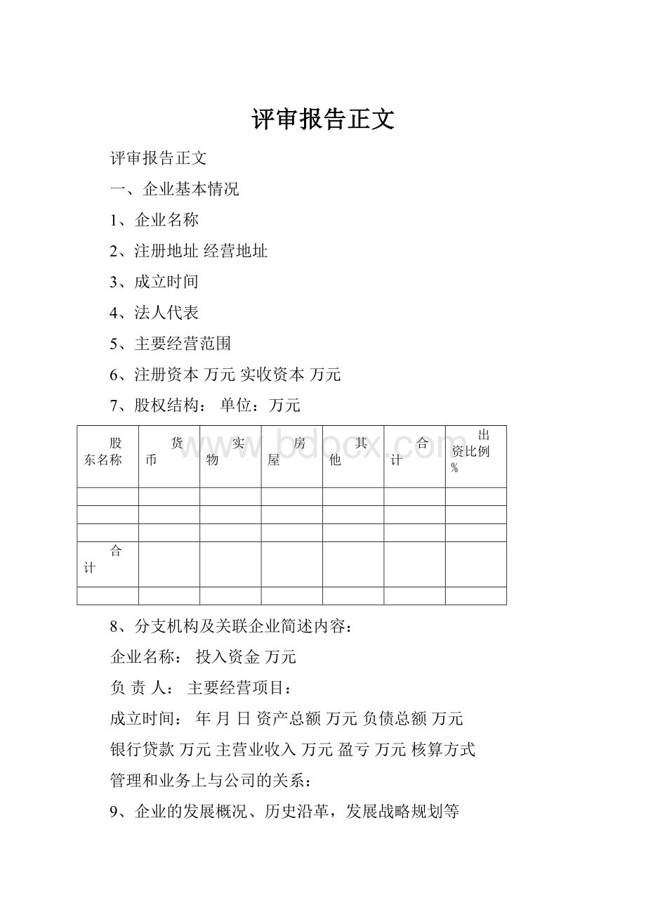 评审报告正文.docx