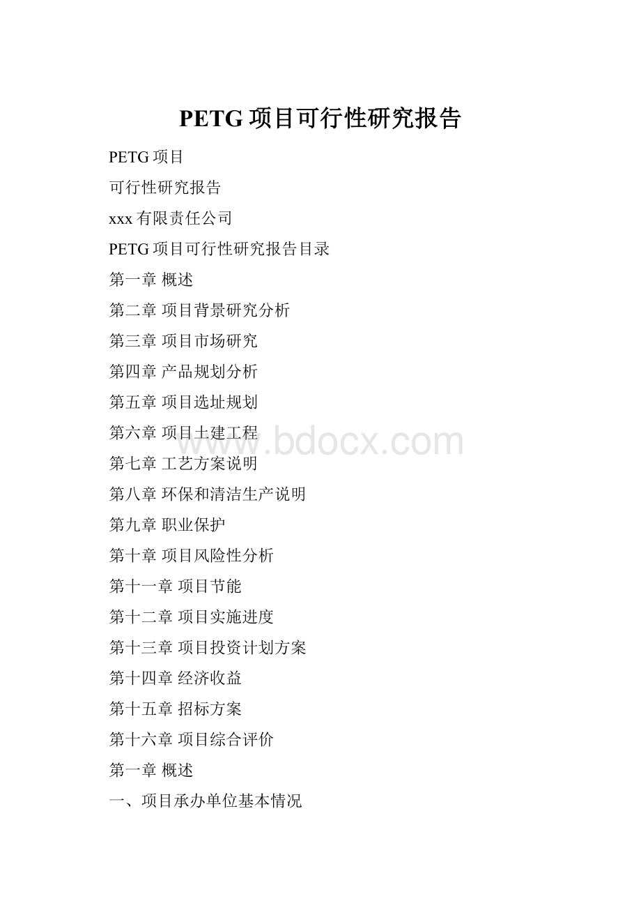 PETG项目可行性研究报告.docx