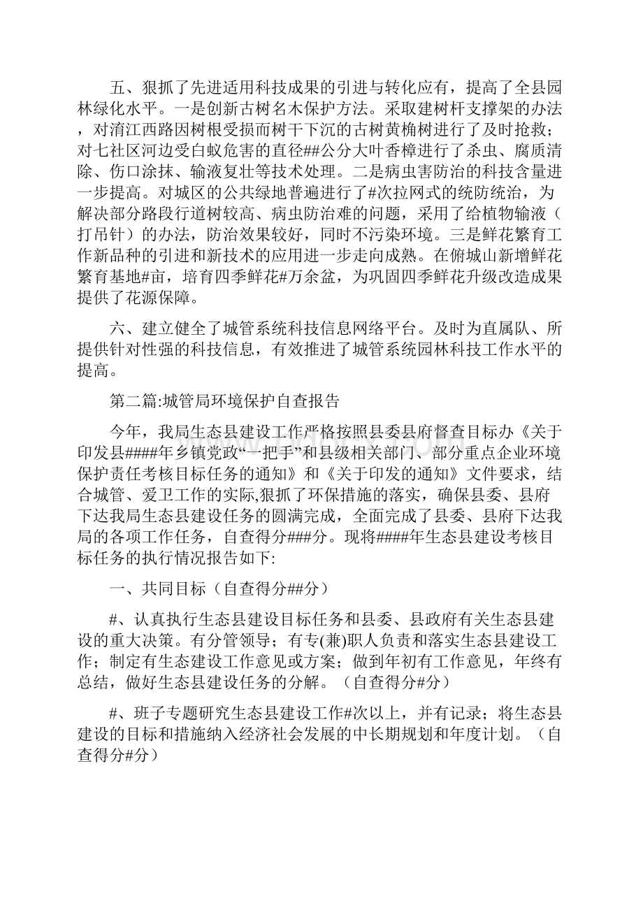 城管局工作自查报告.docx_第2页