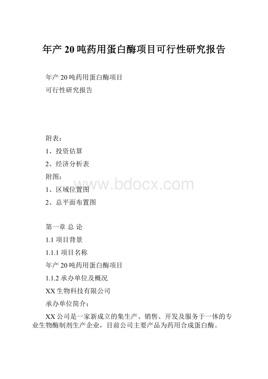 年产20吨药用蛋白酶项目可行性研究报告.docx_第1页