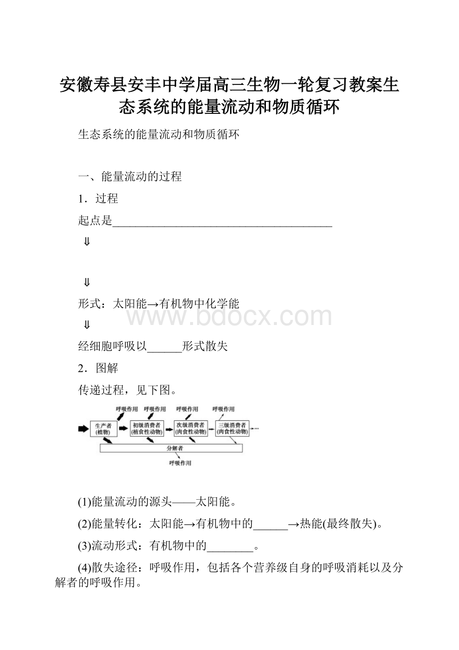 安徽寿县安丰中学届高三生物一轮复习教案生态系统的能量流动和物质循环.docx_第1页