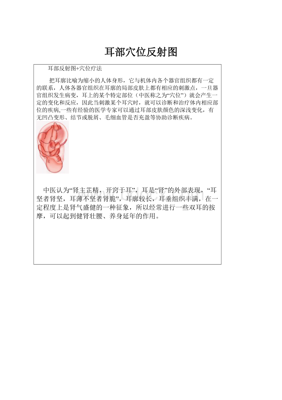 耳部穴位反射图.docx_第1页