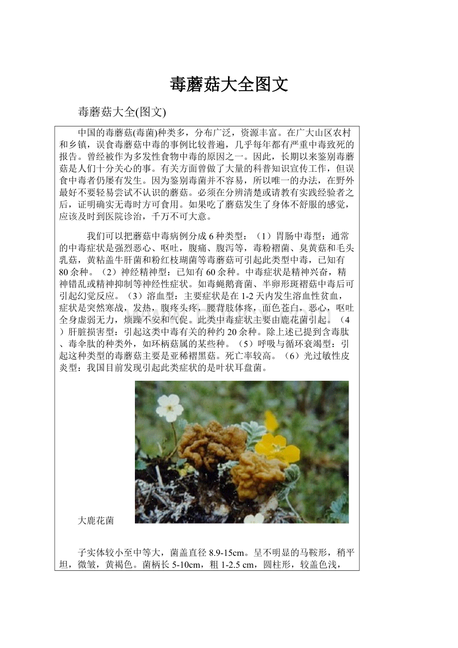 毒蘑菇大全图文.docx_第1页