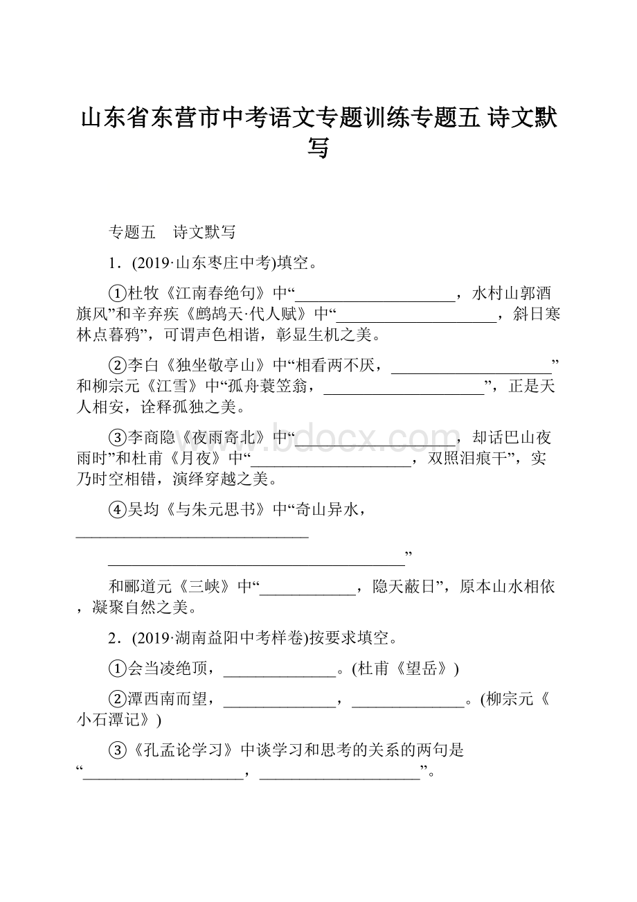 山东省东营市中考语文专题训练专题五 诗文默写.docx