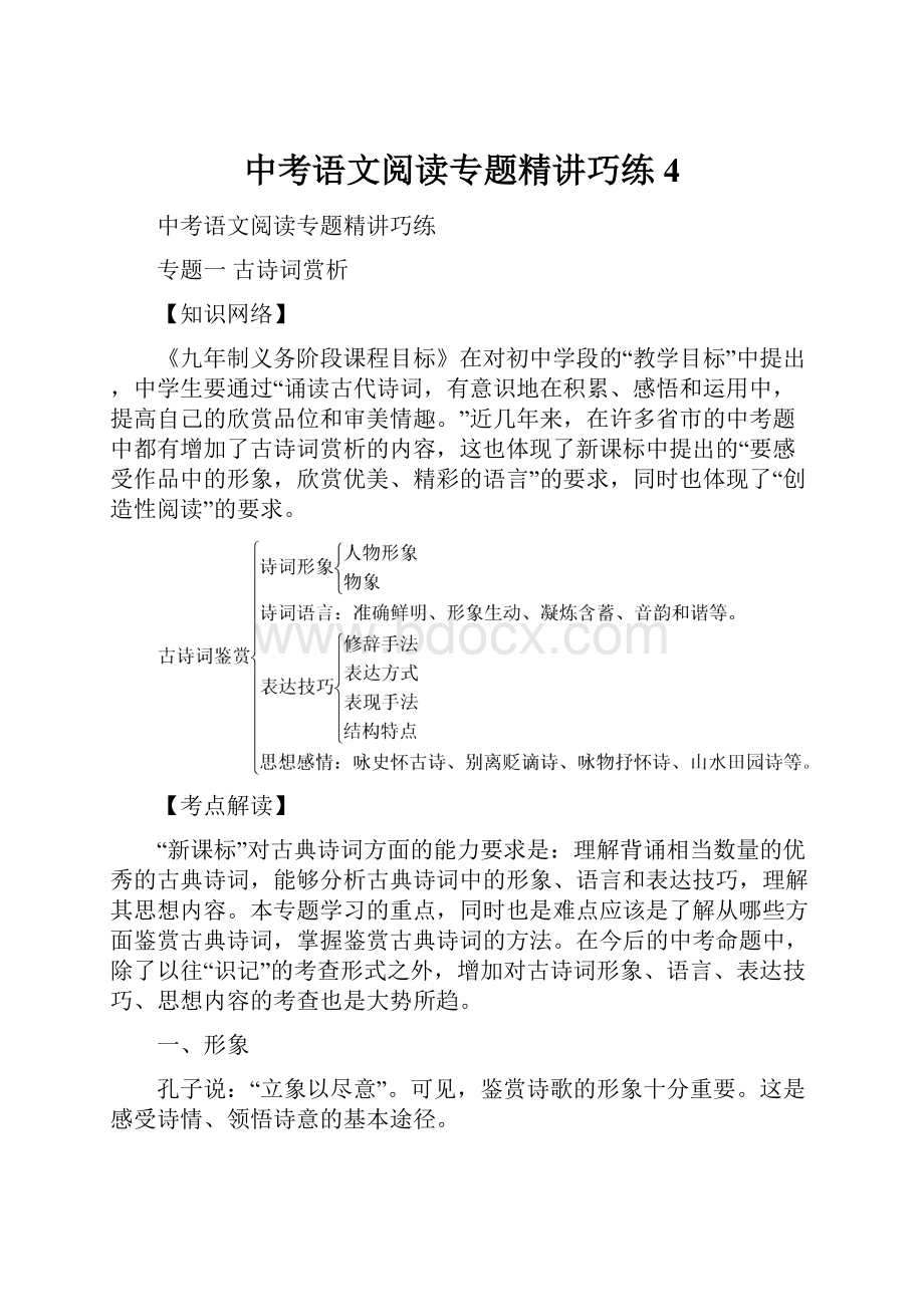 中考语文阅读专题精讲巧练4.docx