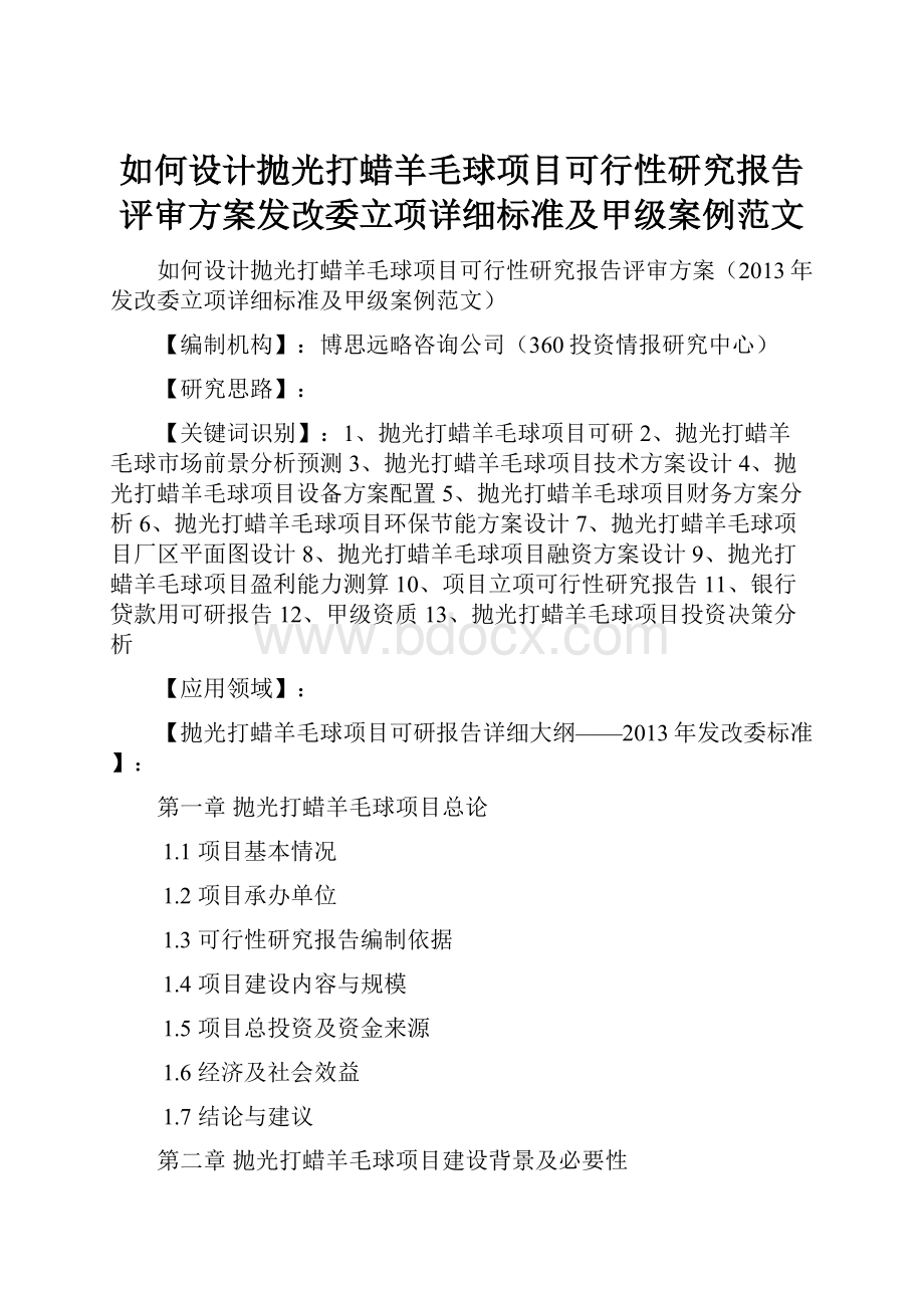 如何设计抛光打蜡羊毛球项目可行性研究报告评审方案发改委立项详细标准及甲级案例范文.docx