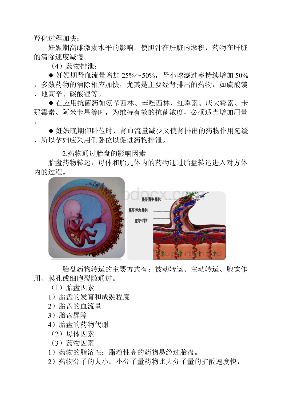 主管药师考试辅导专业实践能力讲义临床药物治疗学特殊人群用药.docx_第2页