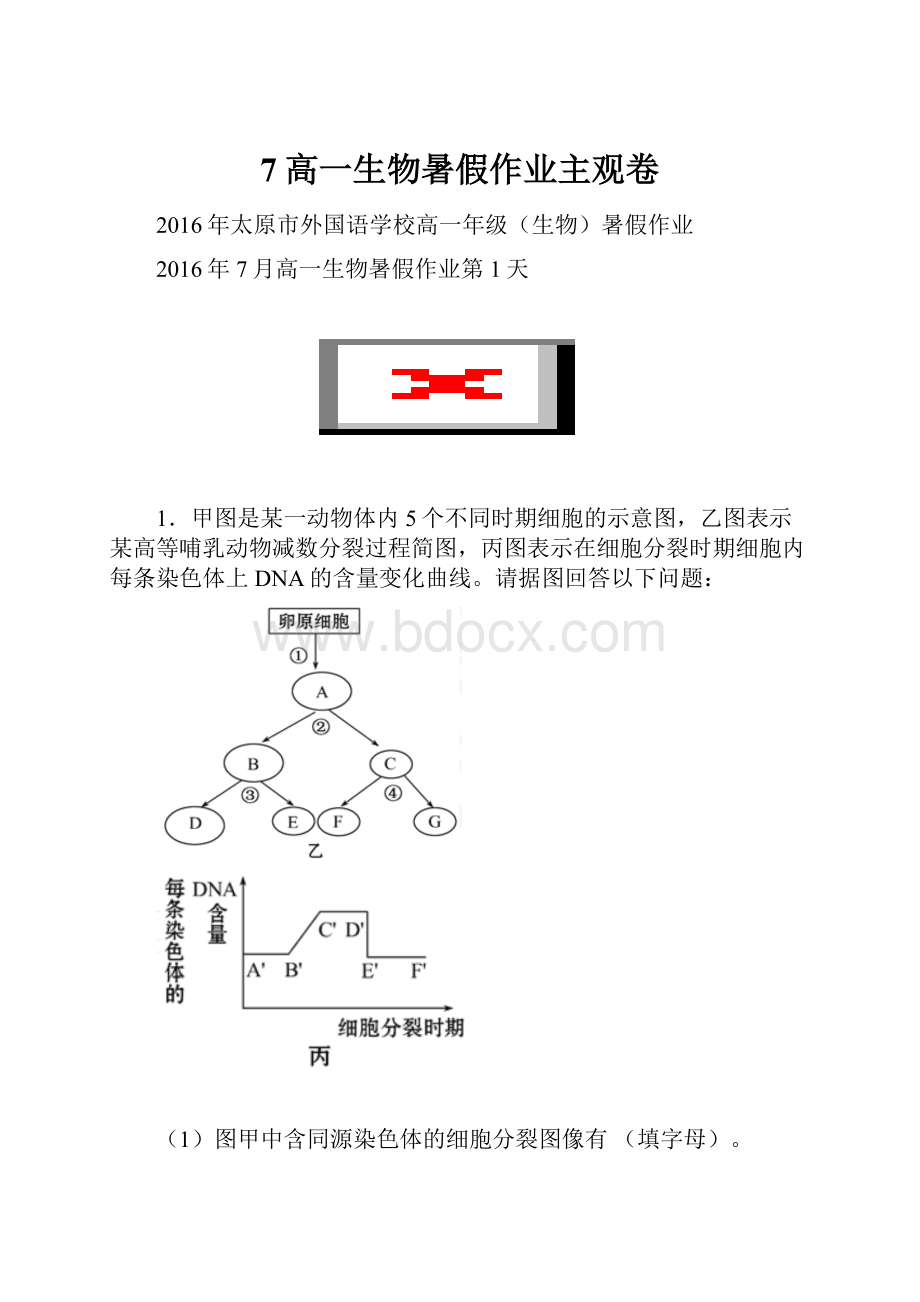 7高一生物暑假作业主观卷.docx_第1页