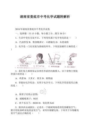 湖南省娄底市中考化学试题附解析.docx