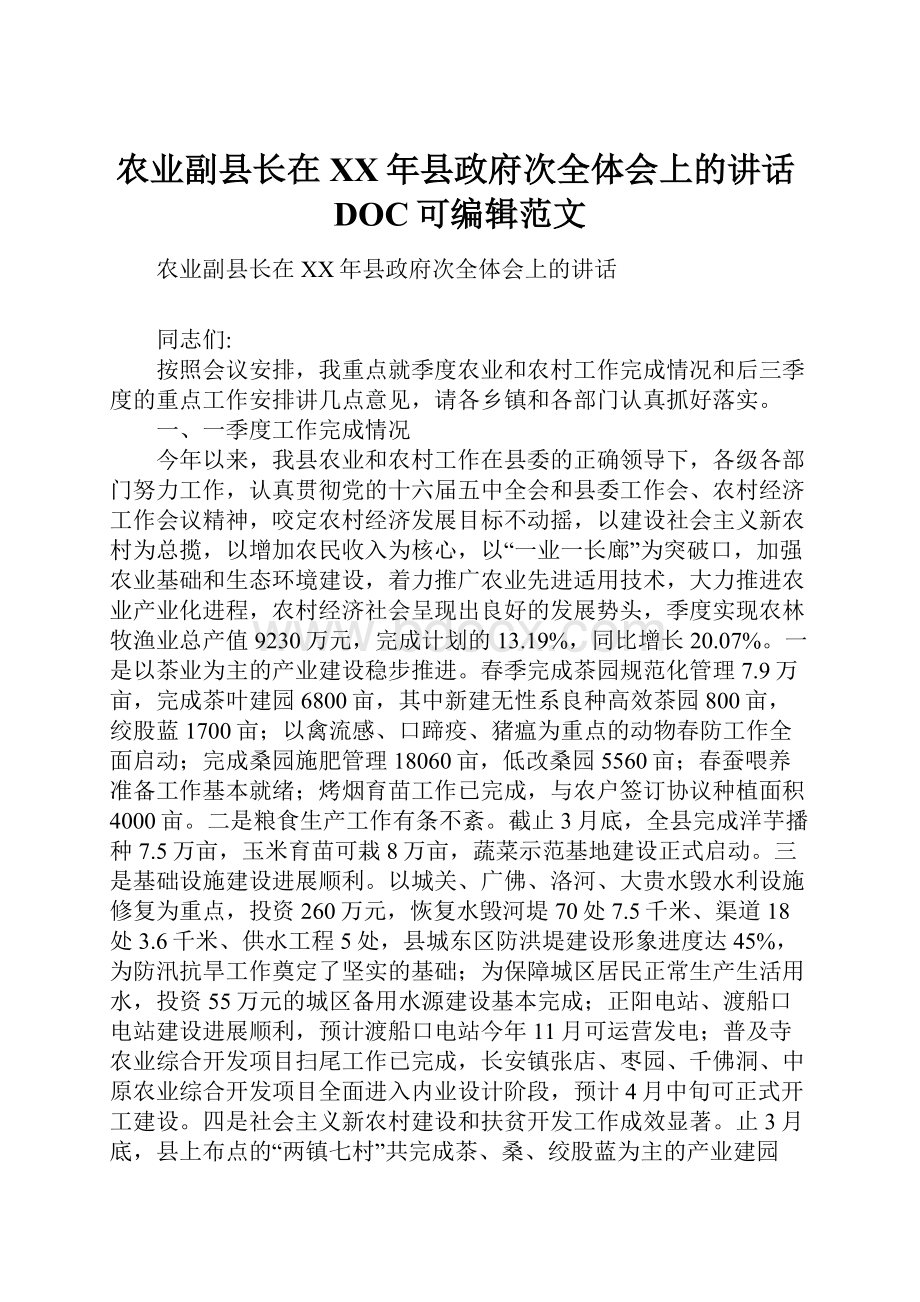 农业副县长在XX年县政府次全体会上的讲话DOC可编辑范文.docx