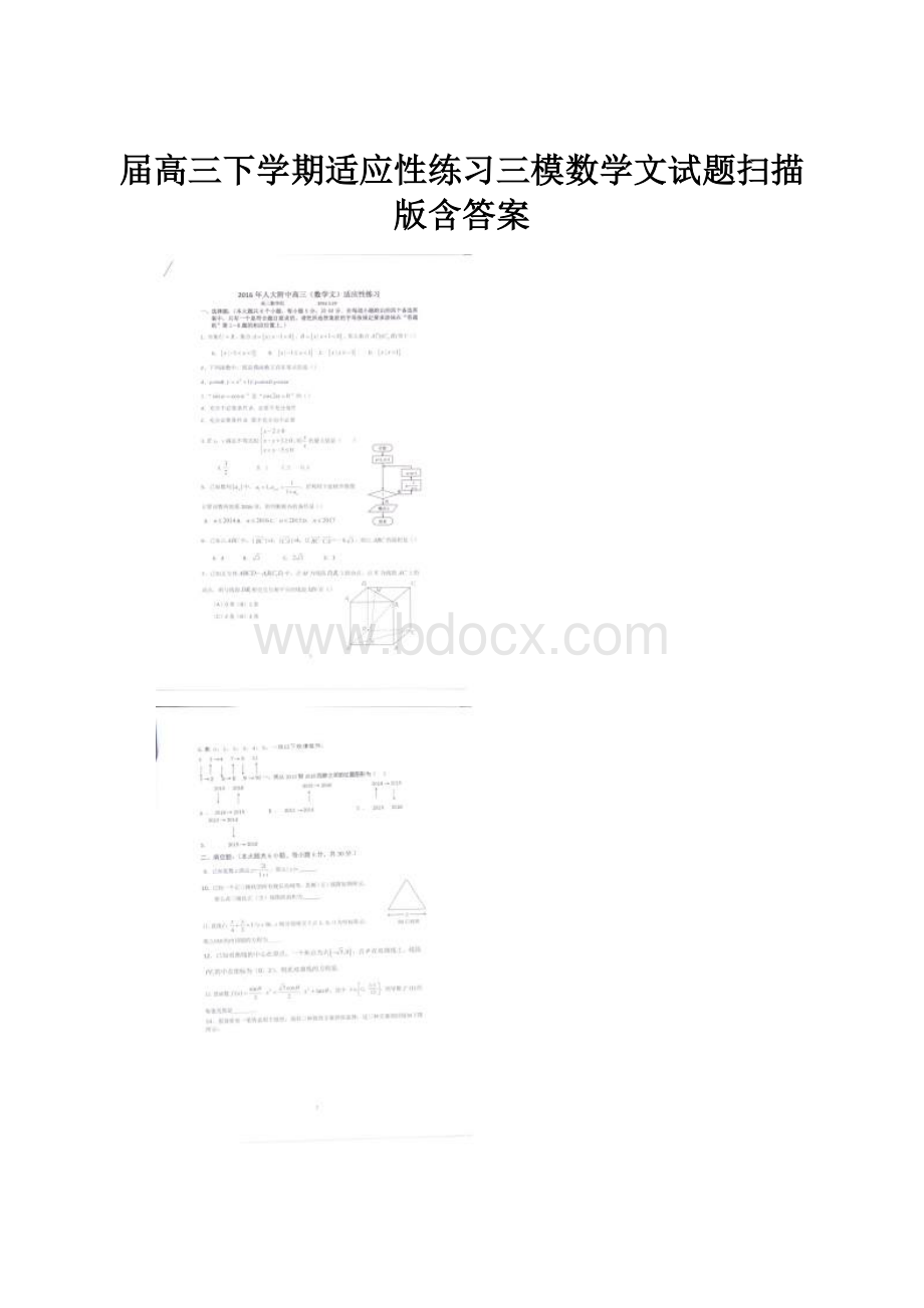 届高三下学期适应性练习三模数学文试题扫描版含答案.docx