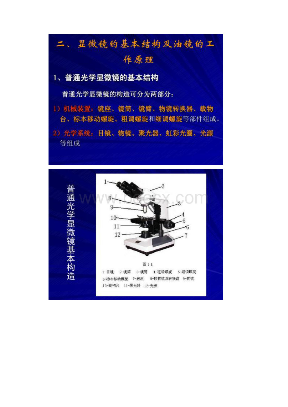 实验一普通光学显微镜的使用及细菌形态的观察.docx_第2页