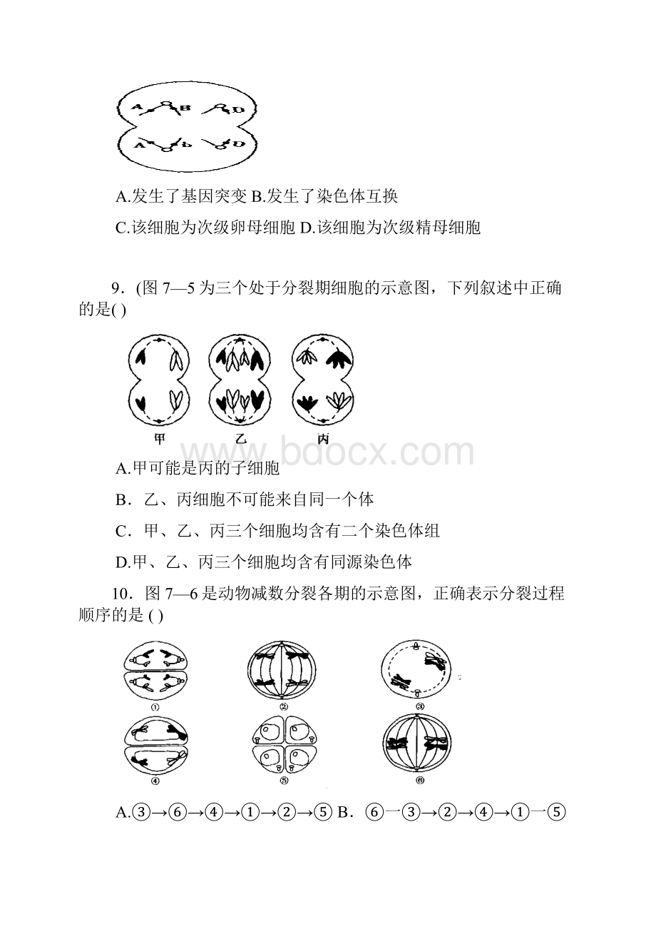 高一生物.docx_第3页