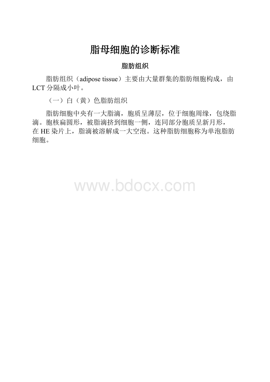 脂母细胞的诊断标准.docx