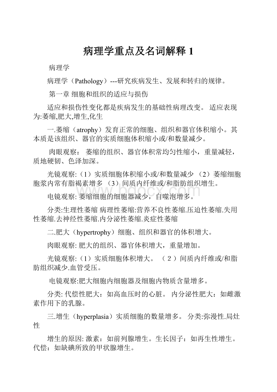 病理学重点及名词解释1.docx