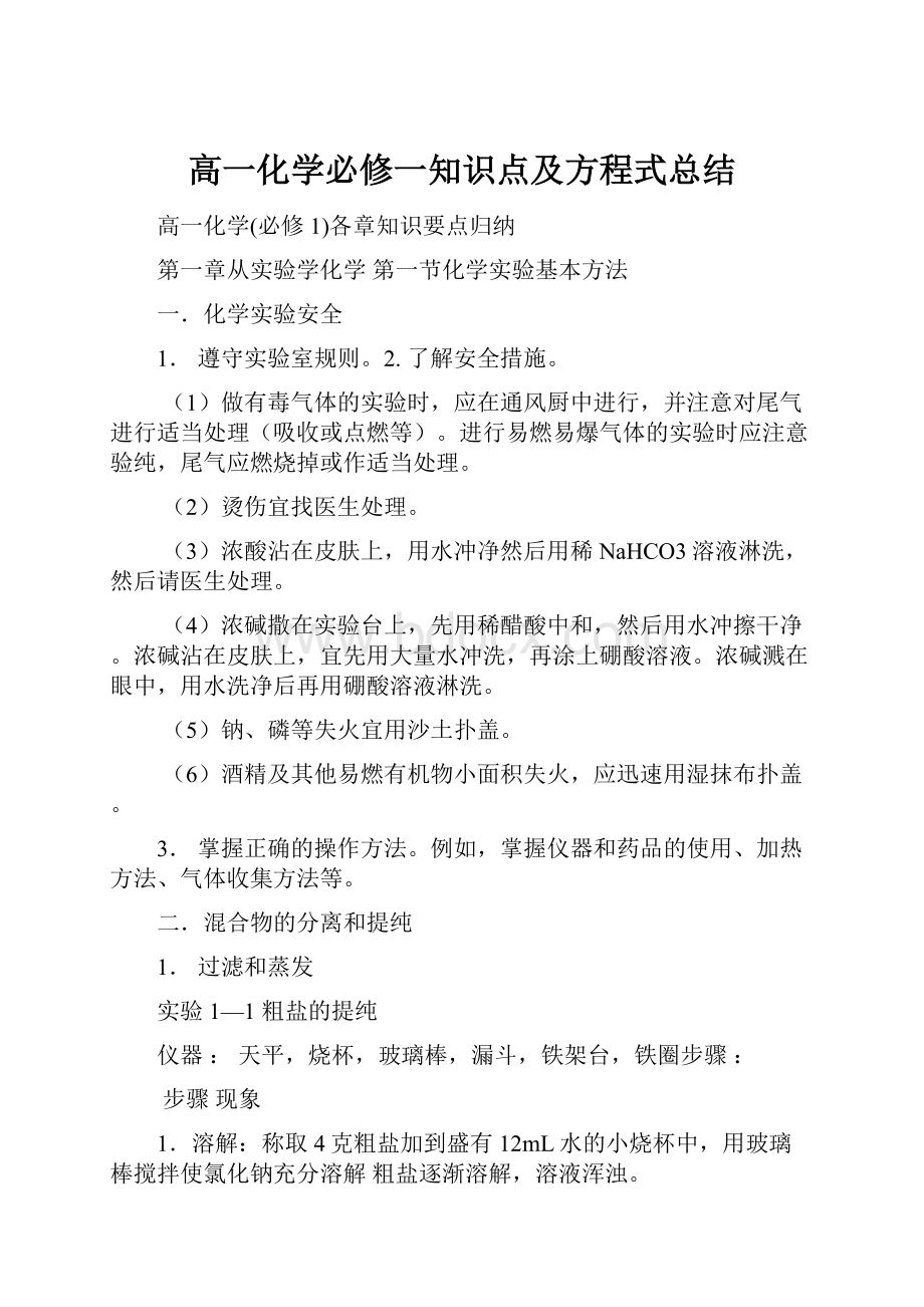 高一化学必修一知识点及方程式总结.docx