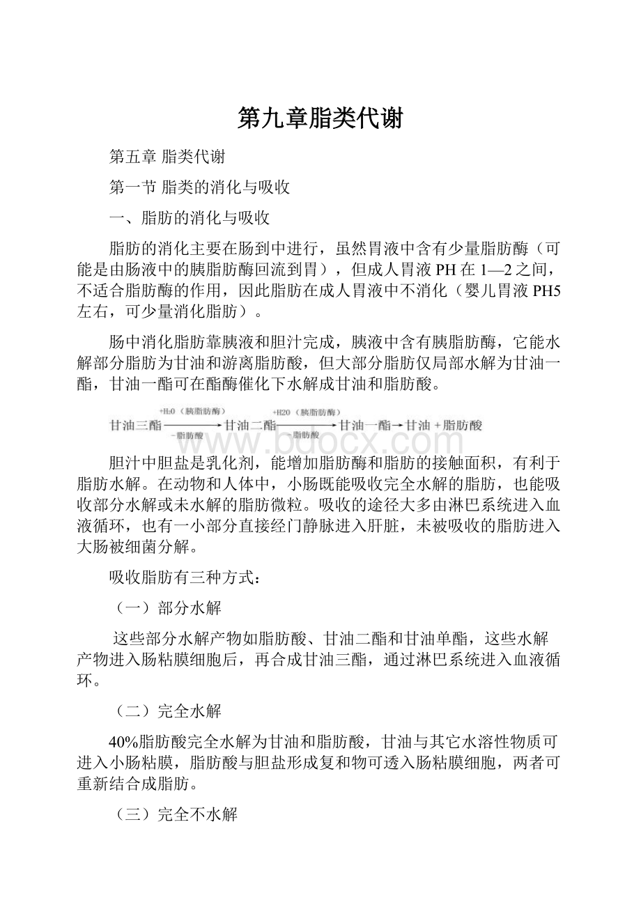 第九章脂类代谢.docx_第1页