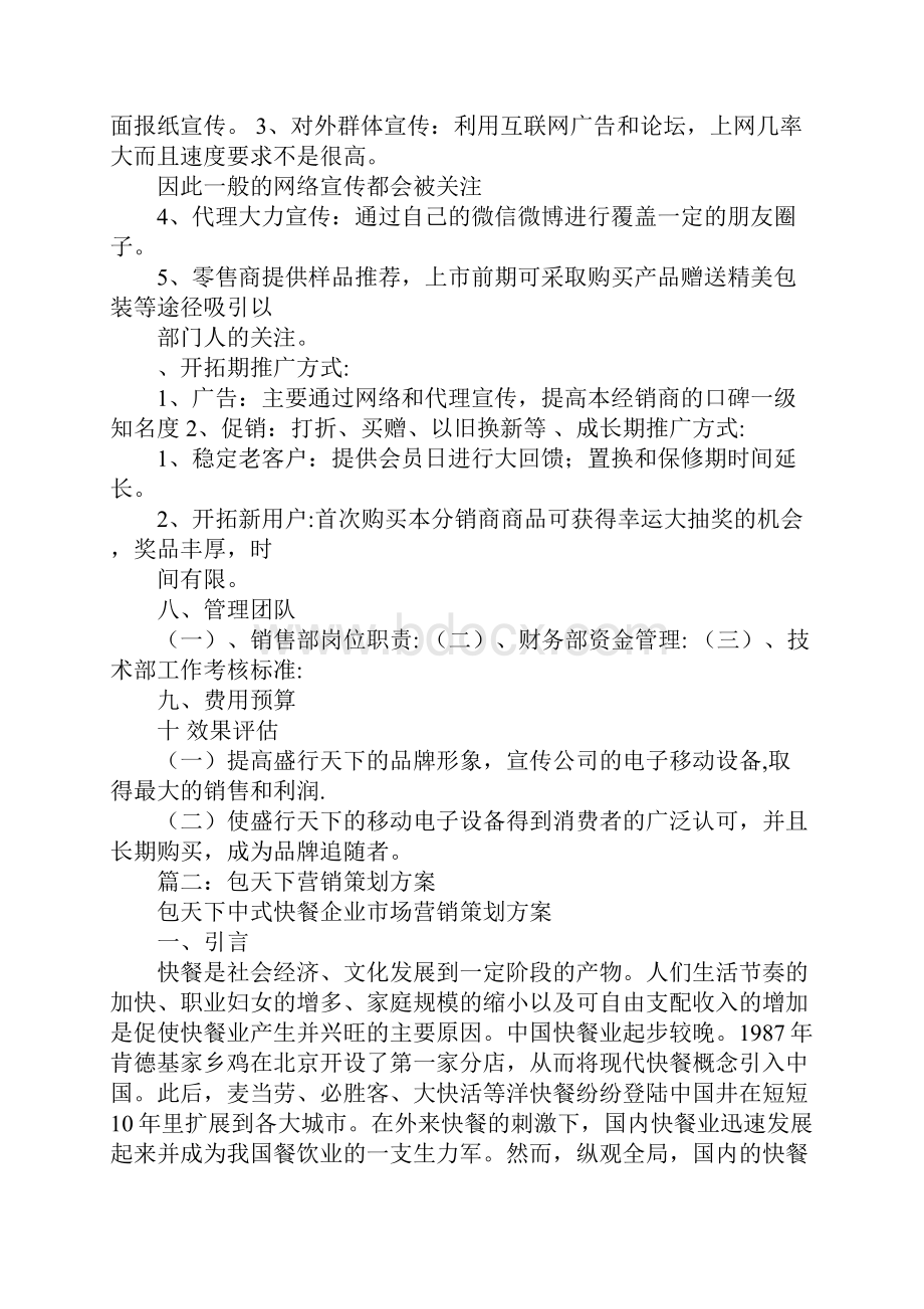 盛行天下营销策划方案.docx_第3页