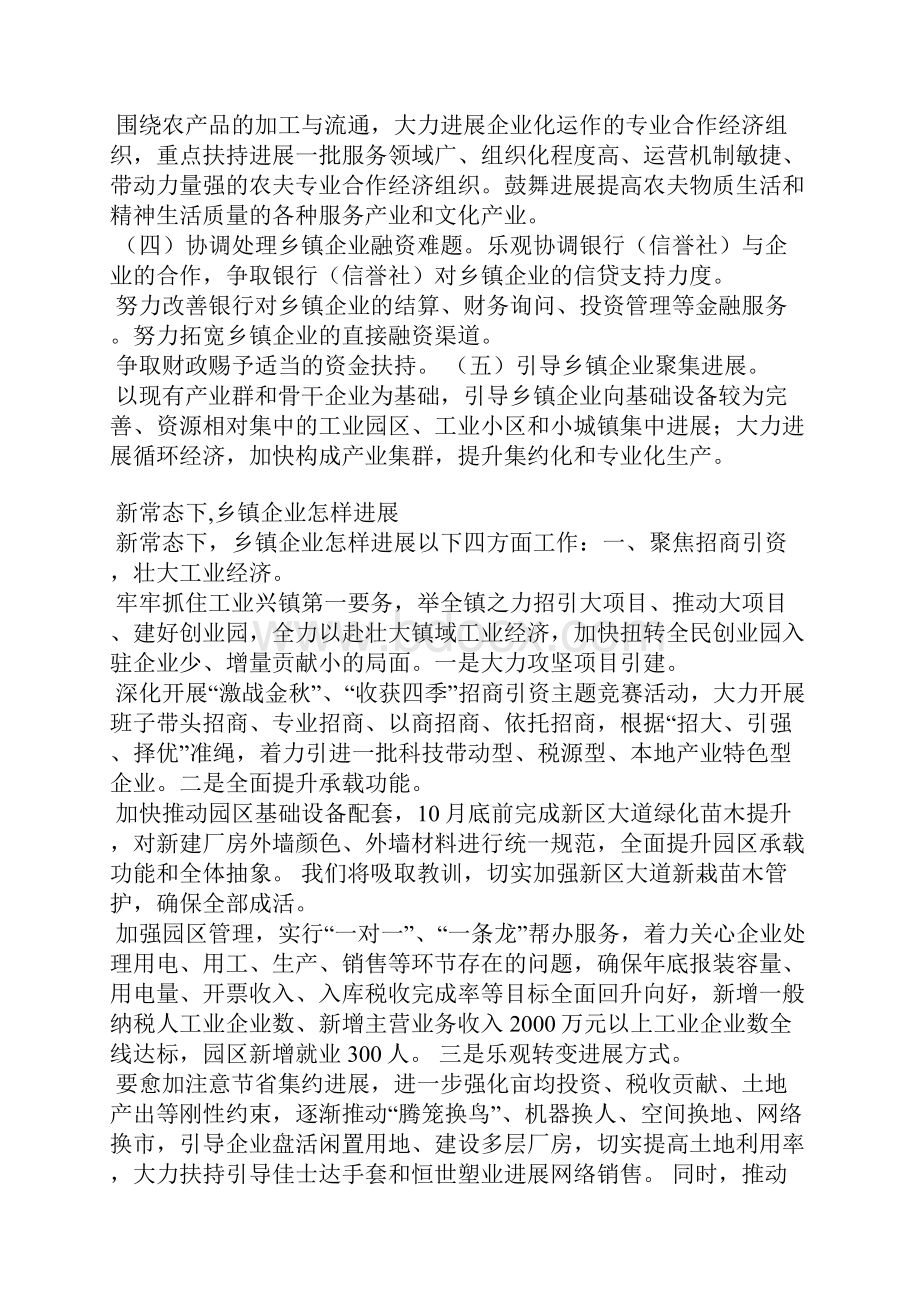 企业与乡镇结合发展报告范文.docx_第3页