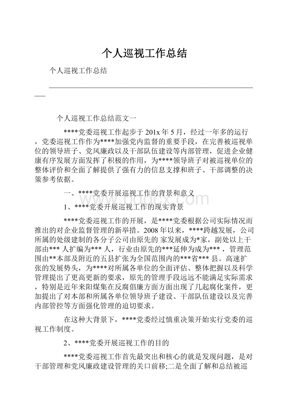 个人巡视工作总结.docx